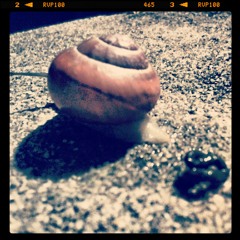 Subrox - A Theory (instrumental version)