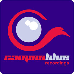 P.B.K. - Living On A Membrane ( Seba Remix ) - Camino Blue Recordings