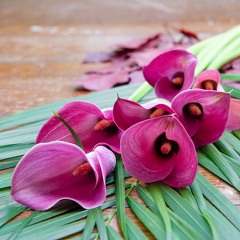 ฉั น ไ ม่ คู่ ค ว ร