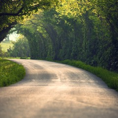 Iulian Bãlan - Sound of Eden Garden