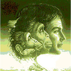 Mi vida de Vez en Diario - LeckzorFive Ft. Trobeck Pro. [HRC]