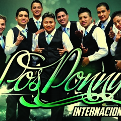 Los ponys