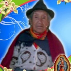 En Vida tonada mucho mix feat thor mix vdj pro 2