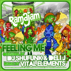 Feeling Me (Vital Elements Remix)