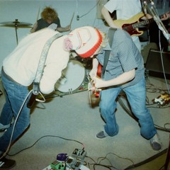 ArchAnimals - hundred dollar bill (demo)