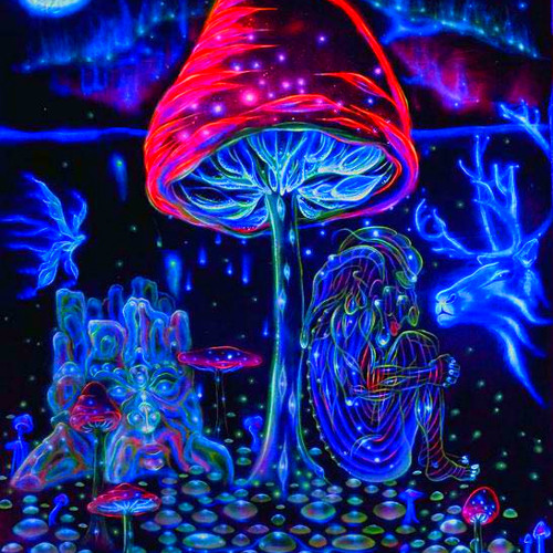 It's just a psychedelic shroom