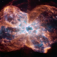 Hope in a Hopeless Thing