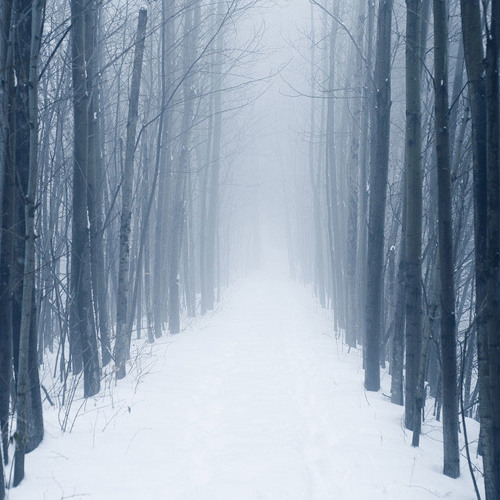 The Last Candles of Winter Burning