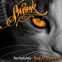 Bag O' Cats - Techstyles (Vinnie the Squid) Swank Logic 2005)