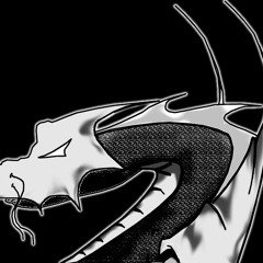 Platinum Dragon - Started From the Bottom