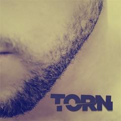 Torn (Natalie Imbruglia Cover - Glee Version)