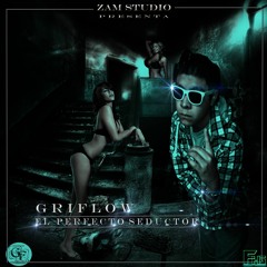 Preview solo llama-Griflow