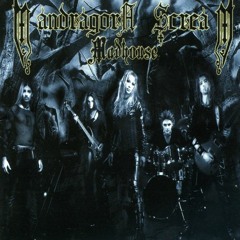 Mandragora Scream - Silences