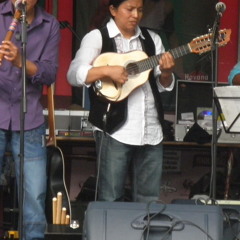 Fandango sawari demo