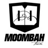 Macklemore & Ryan Lewis - Thrift Shop (Moombahteam Remix) - FREE DOWNLOAD