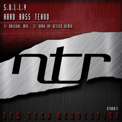 NTRr010 S-U-L-L-Y - Hard Bass Tekno (Original Mix) [2013]