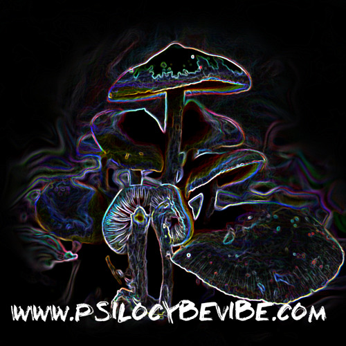 The Mystic