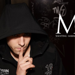 I could Be the one (avec parole, normal)remix Aviici by sabri Emini