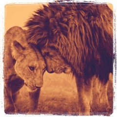 Mango feat. Cush I & Melodiq