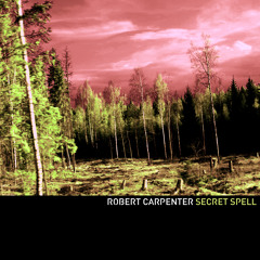 Robert Carpenter - Secret Spell (Tori Amos Cover)