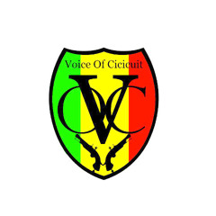 VOC - SSD