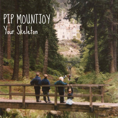 PIP MOUNTJOY - Paper Boats