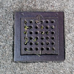 The Urban Stream