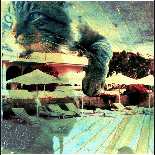 Pet shop dogs-When I was fifteen