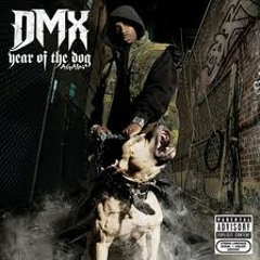 DJ MANY X DJ LEEMGUNNA - THE DMX RETURNS ( MANY X LEEMGUNNA )