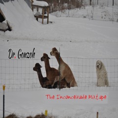 Bring The Sincere Delf