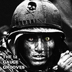 THE 12 GAUGE GROOVES