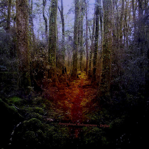 Amorphous Androgynous ( The Future Sound Of London ) - Drifter '08 ( DSedit )