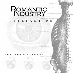 Romantic Industry - Putrefaktion - 10 Thorns(Bonus Track)