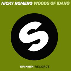 Nicky Romero - Woods of Idaho (Firebeatz Remix)