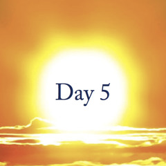 The Light of Acceptance & Forgiveness