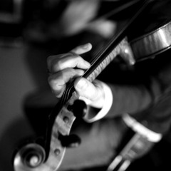 The Funky Pilsener Bridge