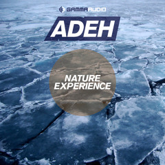 Adeh - Critical Point