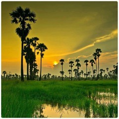 ម្អមស្រែ (ព្រាប សុវត្ថិ)  និពន្ធទំនុកច្រៀង៖ ជុំប៊ុនធឿន  RHM- 227