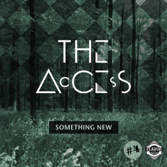 Flavor 004 - The Access - Something New