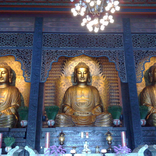 追梦人(TECHNO MIX)