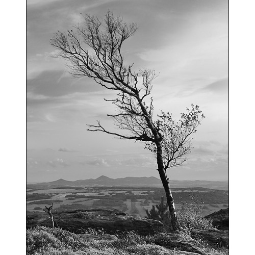 Severní vítr je kutý - Jaroslav Uhlíř