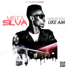Mista Silva - I  Know You Like Am