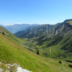 Chasse Aux Epices (Live)