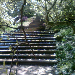 Skin to the bones (sketch for e.p)