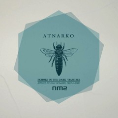 Atnarko - Echoes in the Dark (Deep Future's Melodic Perception)  Noir Music
