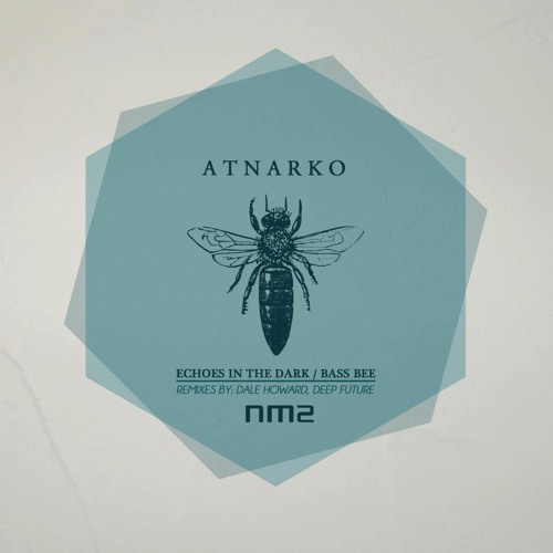 Atnarko - Echoes in the Dark (Deep Future's Melodic Perception)  Noir Music