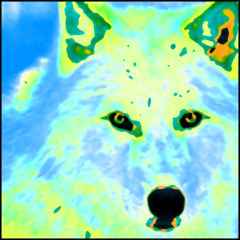 Dog Star Rising
