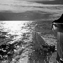 INSECTRUM -  AUF TAUCHKURS