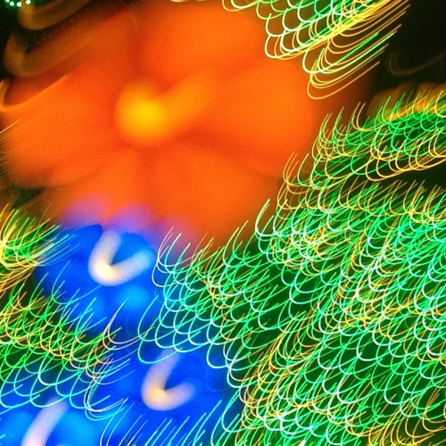 04 Flores de Colores