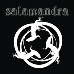Salamandra - Disomnilan